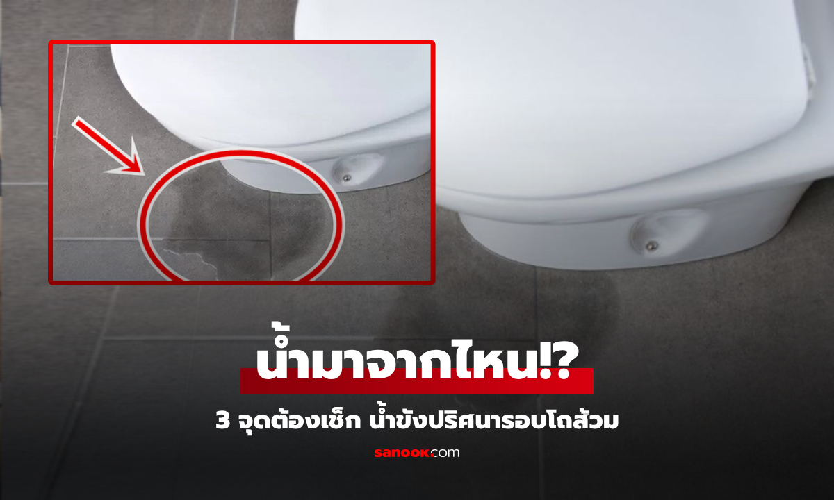 มาจากไหน? ปริศนา “น้ำขัง” รอบโถส้วม ทั้งที่ไม่มีใครใช้ ควรรีบเช็ค 3 จุดนี้ก่อนบานปลาย!
