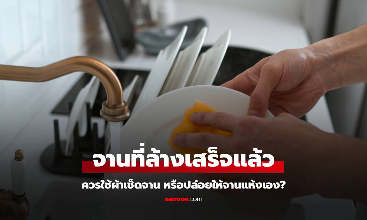 หลังล้างจาน ควรใช้ผ้าเช็ดจาน หรือปล่อยให้แห้งเอง? กูรูญี่ปุ่นมาเฉลย เข้าใจผิดมาตลอด