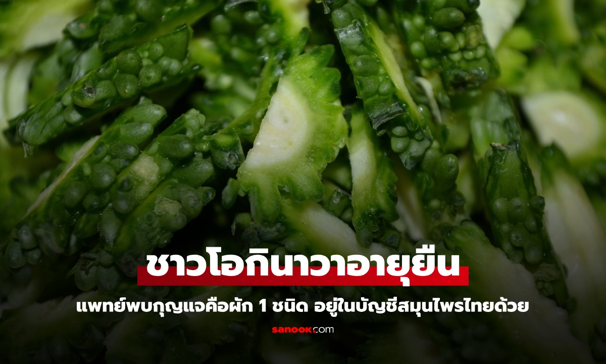 ชาวโอกินาวาอายุยืน แพทย์ค้นพบกุญแจคือ กินผัก 1 ชนิด อยู่ในบัญชีสมุนไพรไทยด้วย