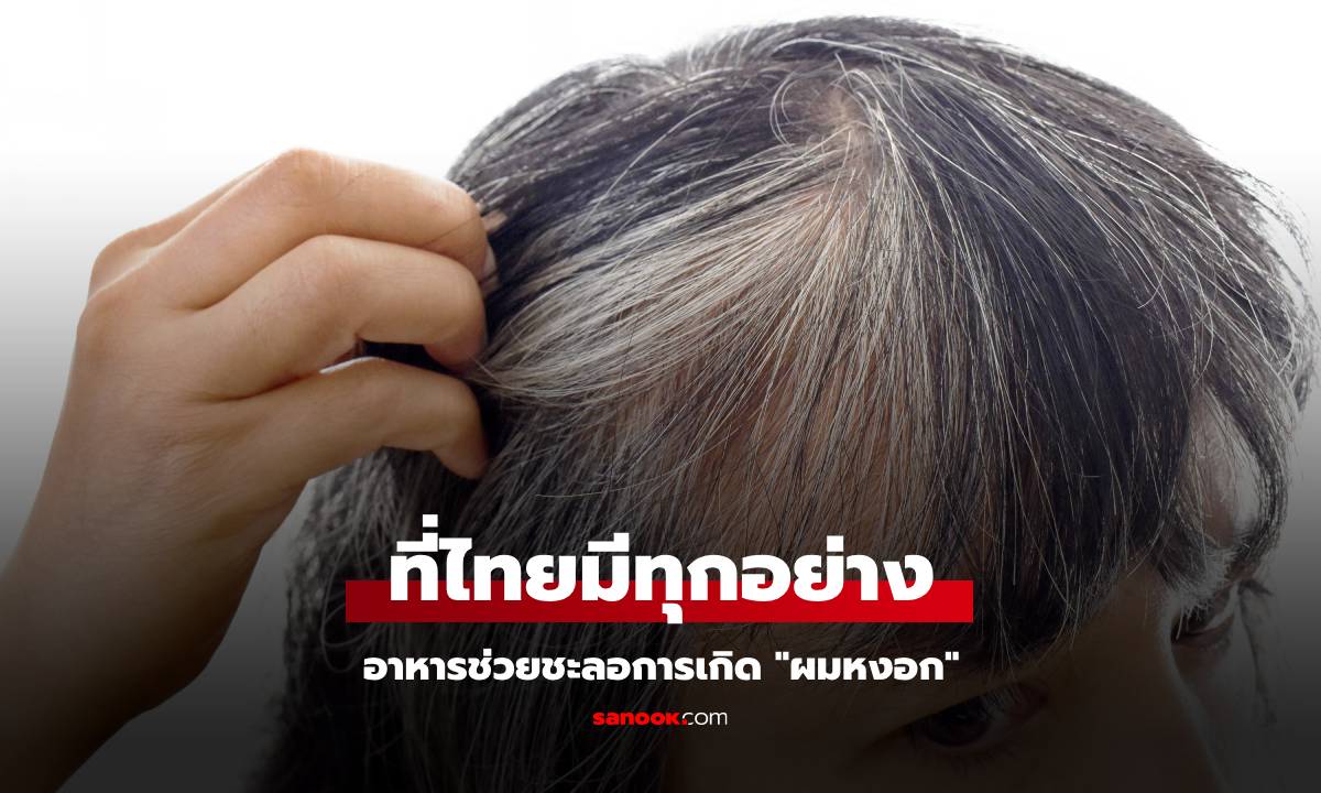 ผมหงอกขึ้นไม่หยุด? กูรูแนะอาหารช่วยชะลอการเกิดผมหงอก ที่ไทยมีทุกอย่าง