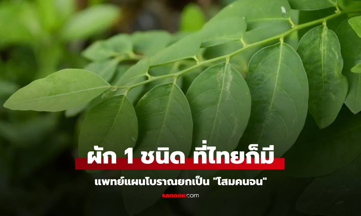 ที่ไทยก็มี! ผัก 1 ชนิด มีธาตุเหล็กมากกว่าเนื้อวัว แพทย์แผนโบราณยกเป็น "โสมคนจน"