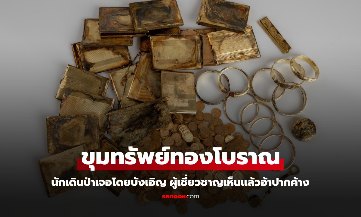 "ขุมทรัพย์โบราณ" นักเดินป่าเจอโดยบังเอิญ ผู้เชี่ยวชาญเห็นแล้วอ้าปากค้าง เฉลยมูลค่า