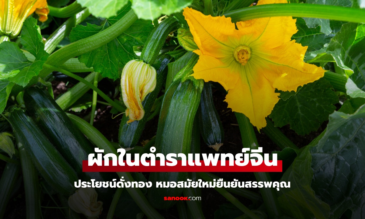 เปิดตำราแพทย์จีน ผักบ้านๆ ที่คุ้นเคย มีประโยชน์ดั่งทองคำ หมอสมัยใหม่ยืนยันสรรพคุณ