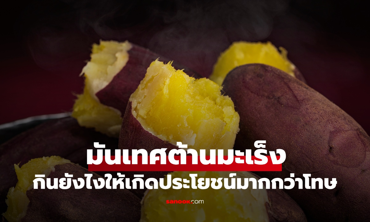 สถาบันมะเร็งญี่ปุ่น จัดอันดับ "มันเทศ" เป็นพืชต้านมะเร็ง กินยังไงไม่ให้เกิดโทษ