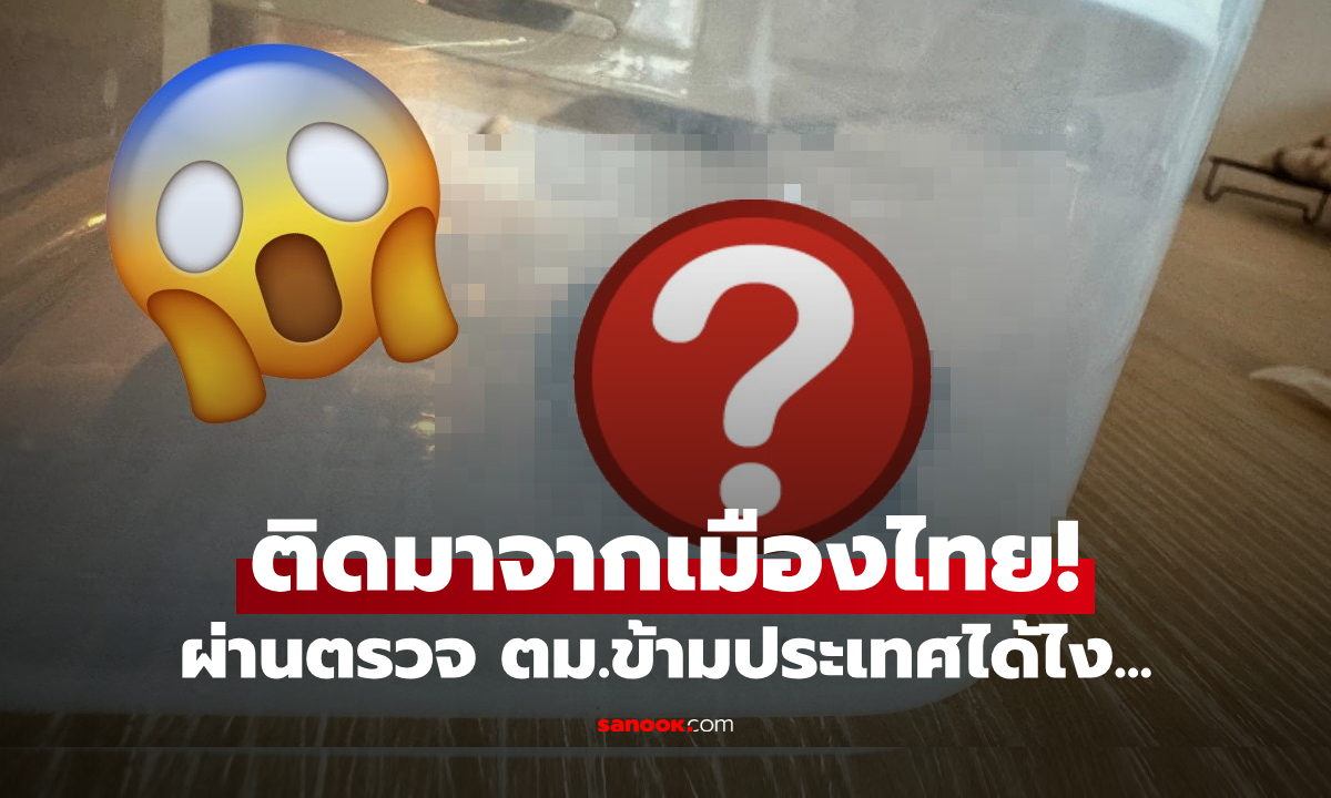 สาวตกใจสุดขีด! กลับจากเที่ยวไทย ผงะเจอ "ตัวนี้" ซุกมาในหมอนรองคอ ผ่าน ตม.ได้ไง?