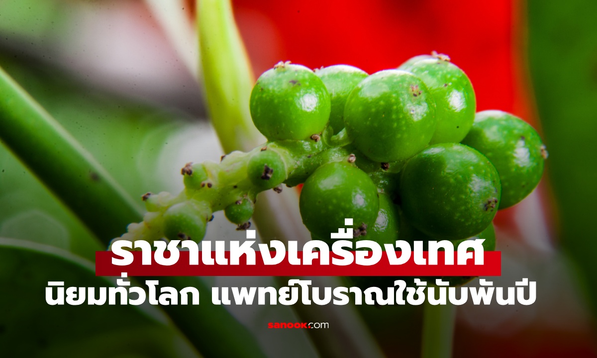 รู้จัก "ราชาเครื่องเทศ" ตัวช่วยต้านมะเร็ง แพทย์โบราณใช้มานับพันปี สีขาว-สีดำ ต่างกันยังไง?