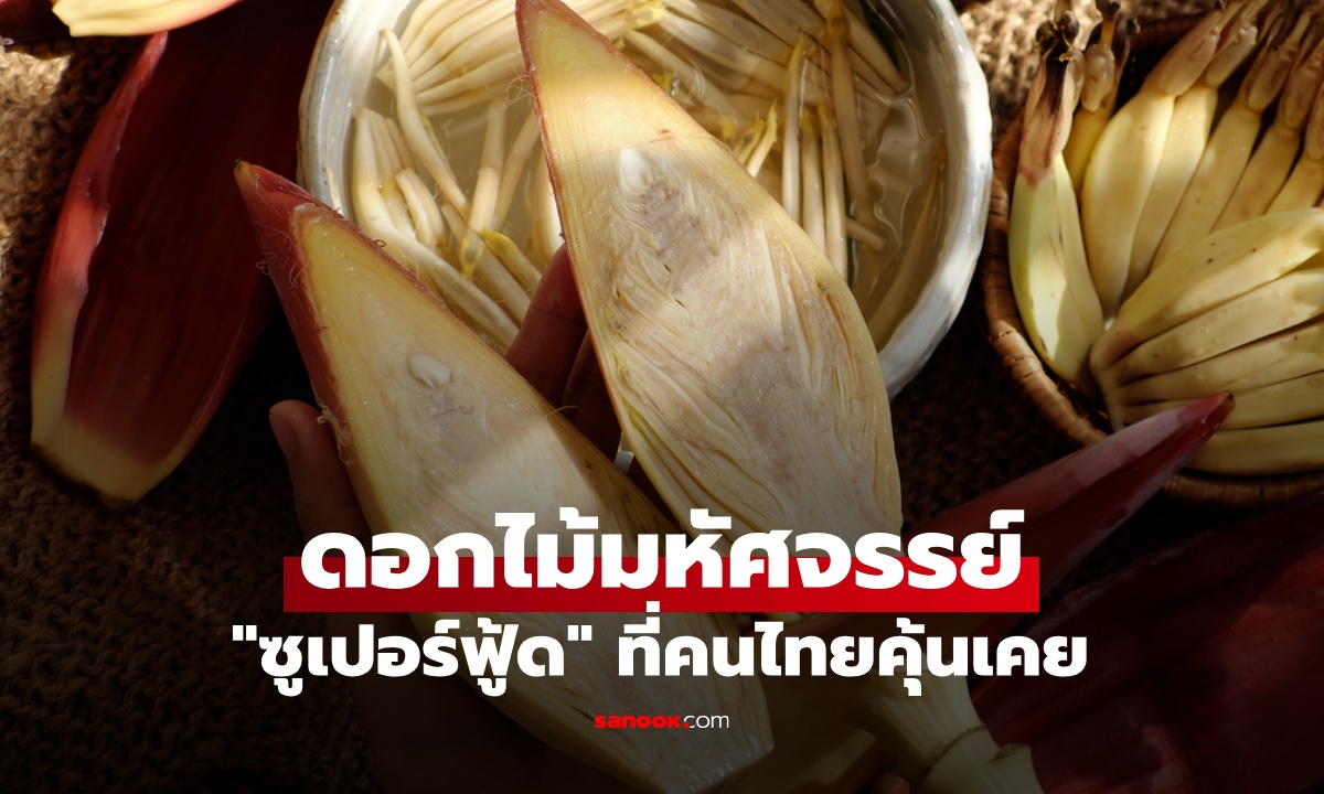 ดอกไม้มหัศจรรย์ "ซูเปอร์ฟู้ด" ที่คนไทยคุ้นเคย ดีต่อสุขภาพ วีแกนกินแทนเนื้อสัตว์
