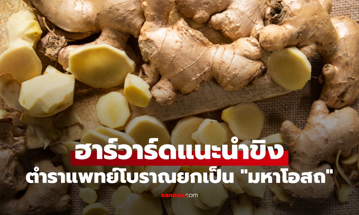 ฮาร์วาร์ดแนะนำ "ขิง" สมุนไพรมากประโยชน์ ตำราแพทย์โบราณยกเป็น "มหาโอสถ"