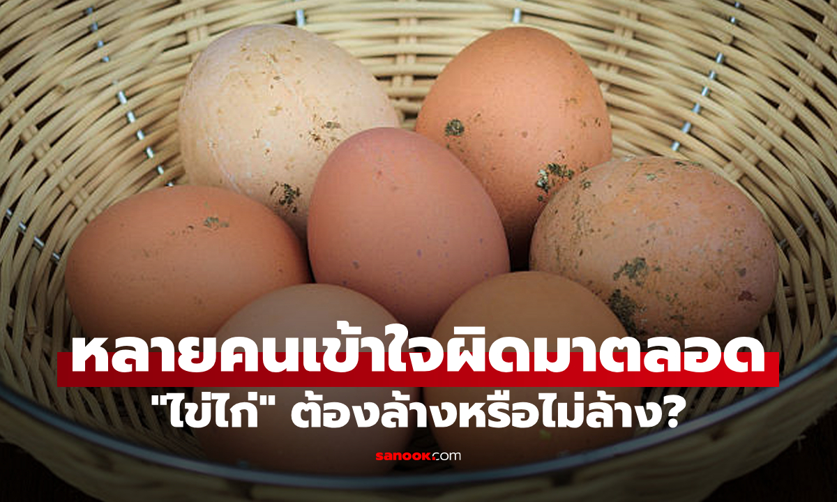 "ไข่ไก่ที่ซื้อมาต้องล้างก่อนมั้ย?": คำถามเล็กๆ แต่สำคัญกว่าที่หลายคนคิด