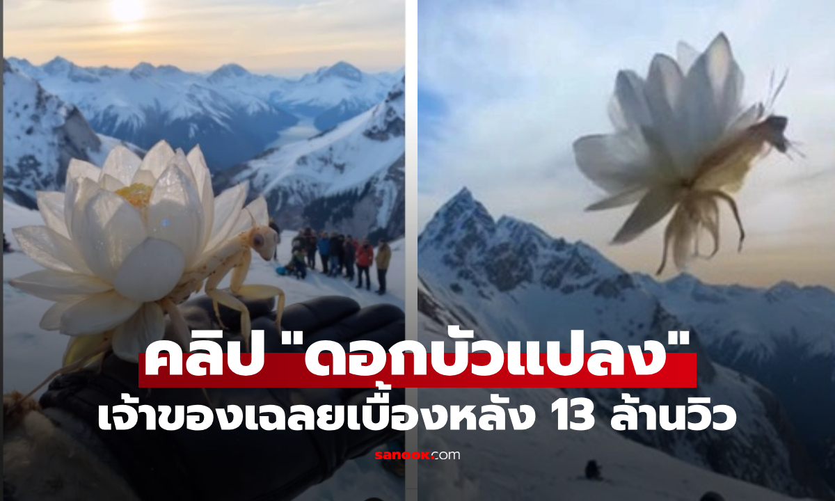 13 ล้านคนตะลึง "ดอกบัวแปลงร่างเป็นสัตว์" เจ้าของคลิปเฉลยแล้ว แมลงจริงหรือปลอม?!