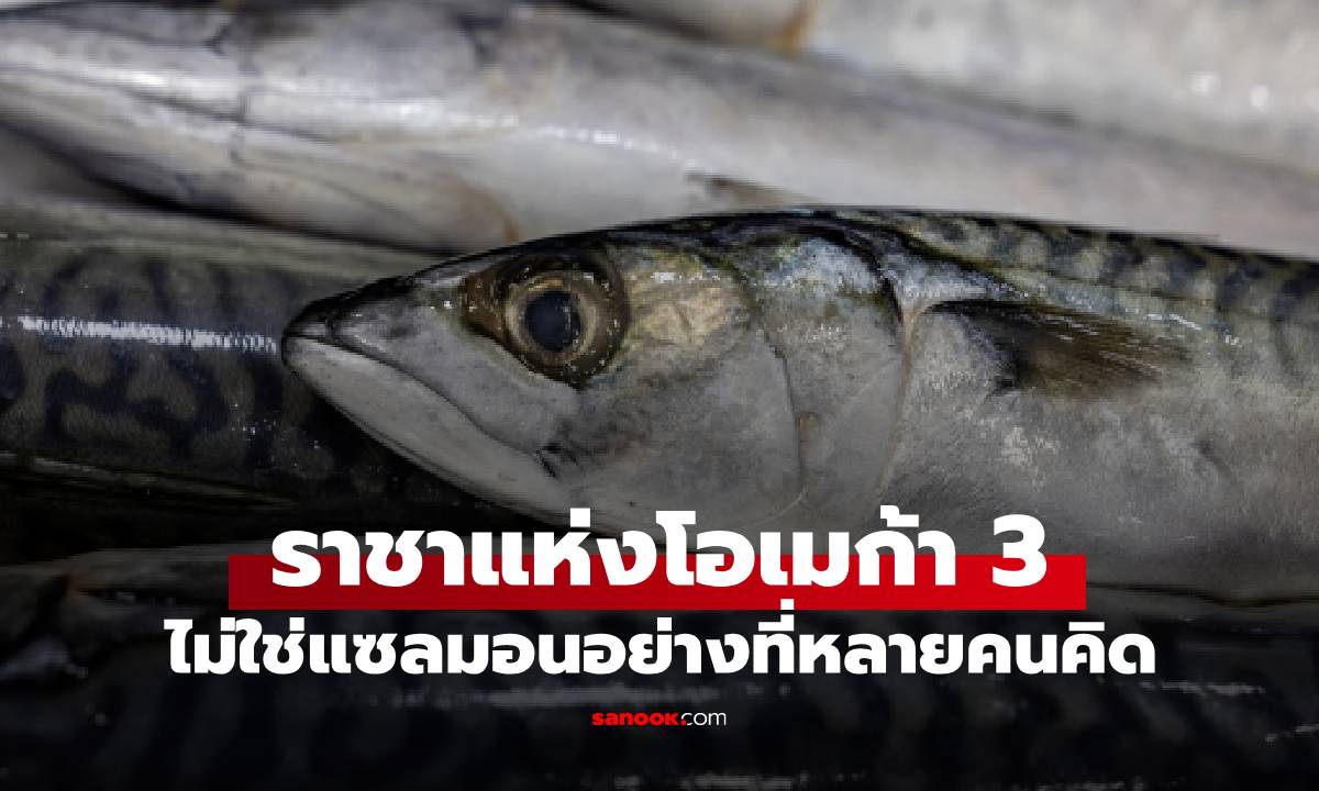 ไม่ใช่แซลมอน! "ราชาแห่งโอเมก้า 3" แชมป์ตัวจริงคือปลาชนิดนี้ คนไทยรู้จักดี
