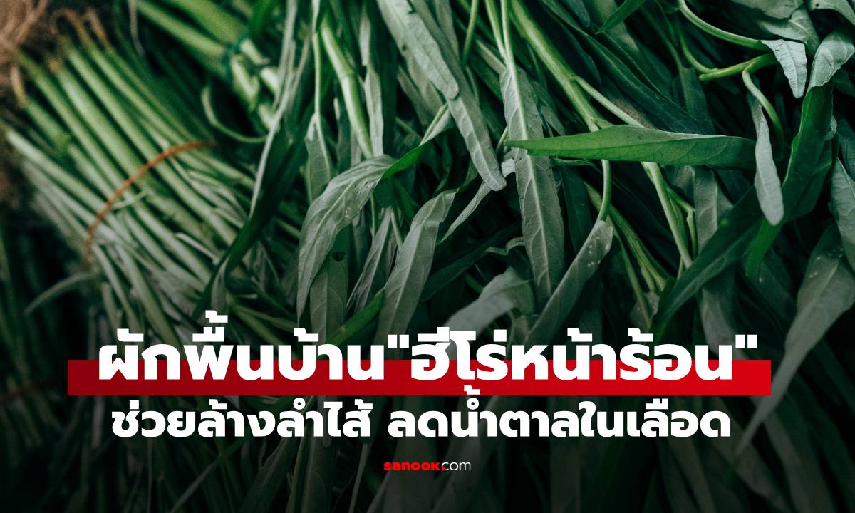 ผักพื้นบ้าน ฮีโร่หน้าร้อน! ช่วยล้างลำไส้-ลดน้ำตาลในเลือด ราคาถูก ที่ไทยมีขายทุกตลาด