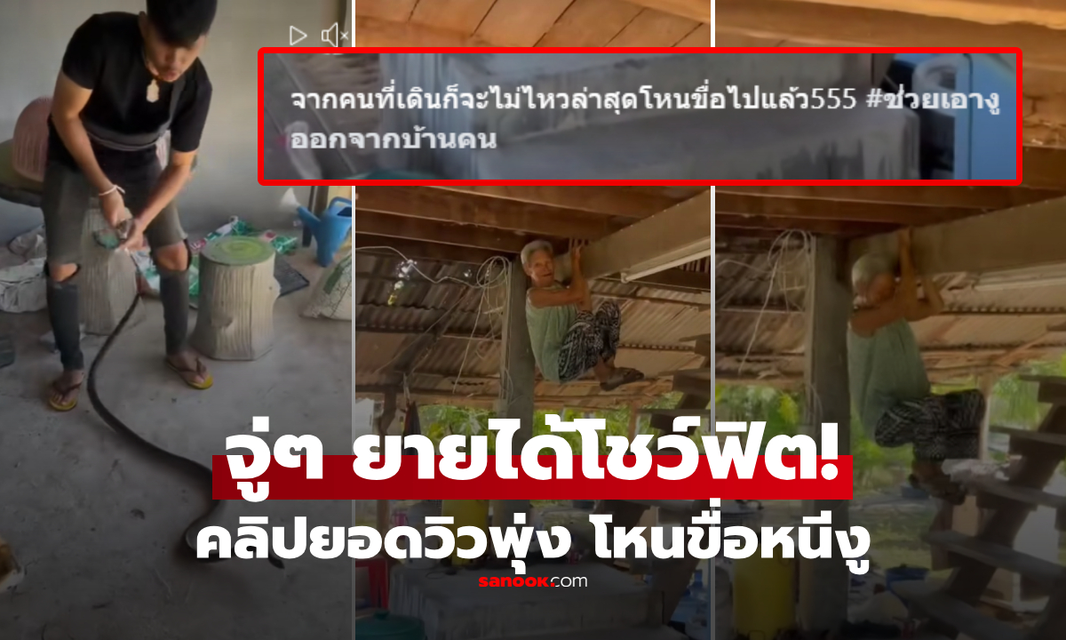 ปาฏิหาริย์หนีงู! คลิปทึ่ง "ยายโหนขื่อ" ใช้แรงแขนยกตัวลอย คนในเหตุการณ์ขำจนหลุดกรี๊ด