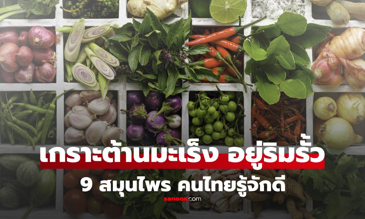 "9 สมุนไพร" ริมรั้วคนไทย เกราะคุ้มกันต้าน "มะเร็งปอด" มีแต่ของหาง่ายทั้งนั้น