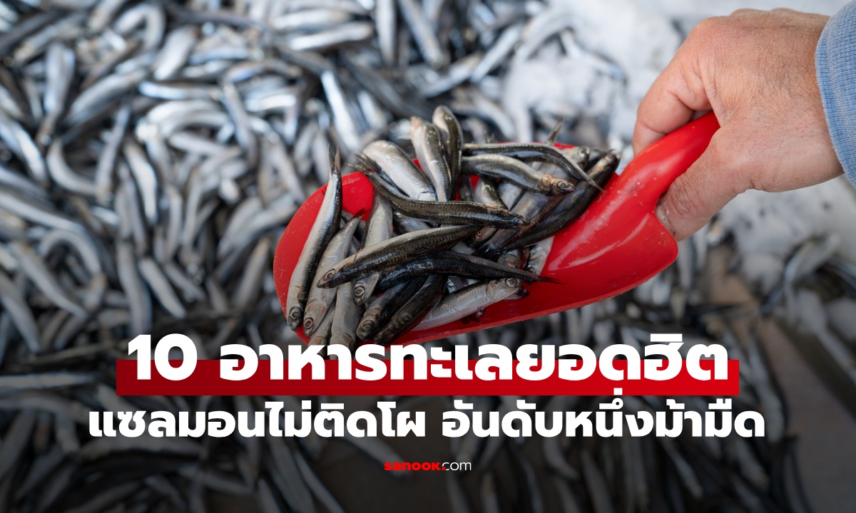 เว็บดังเปิด 10 อาหารทะเลยอดนิยมทั่วโลก แซลมอน กุ้ง ปู ไม่ติดโผ อันดับหนึ่งม้ามืดสุดๆ