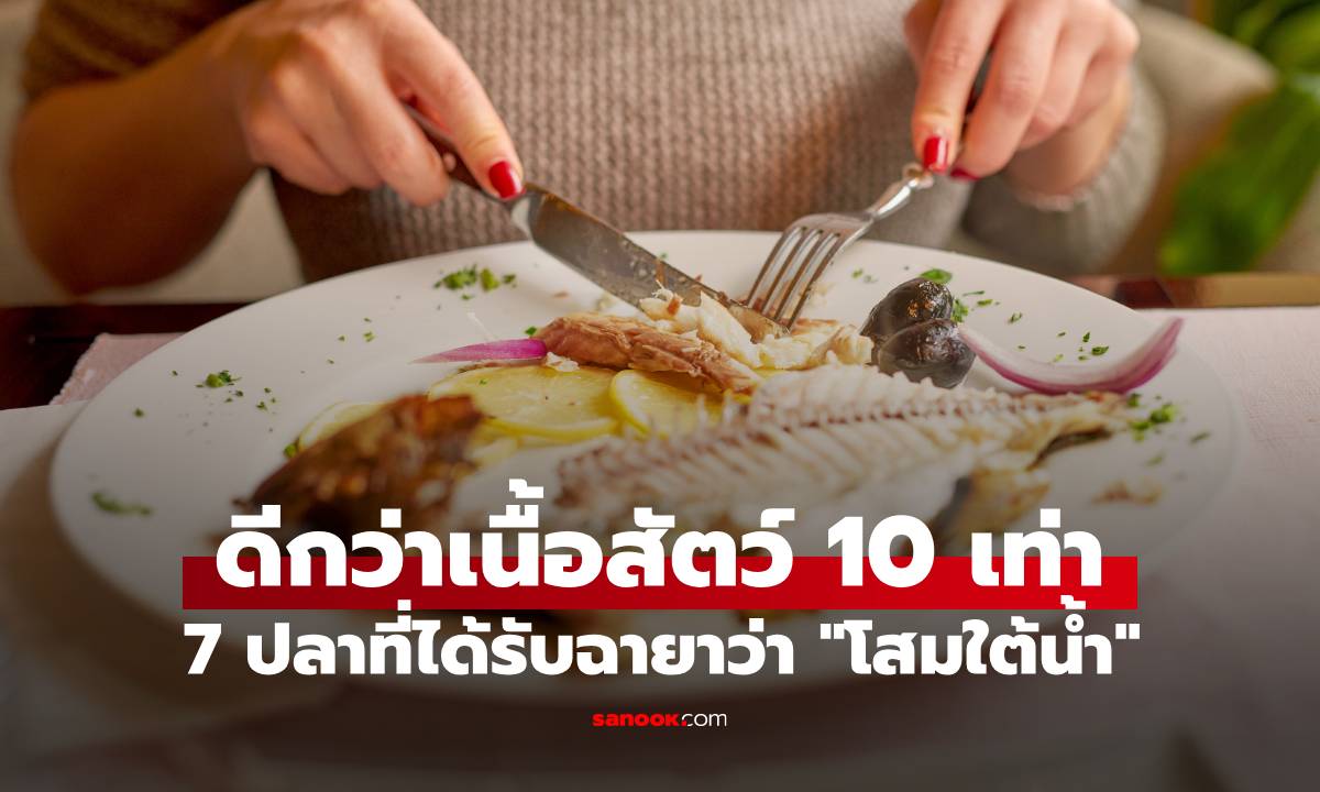 ปลา 7 ชนิด ที่ได้รับฉายาว่า "โสมใต้น้ำ" ดีต่อสุขภาพยิ่งกว่าเนื้อสัตว์ถึง 10 เท่า