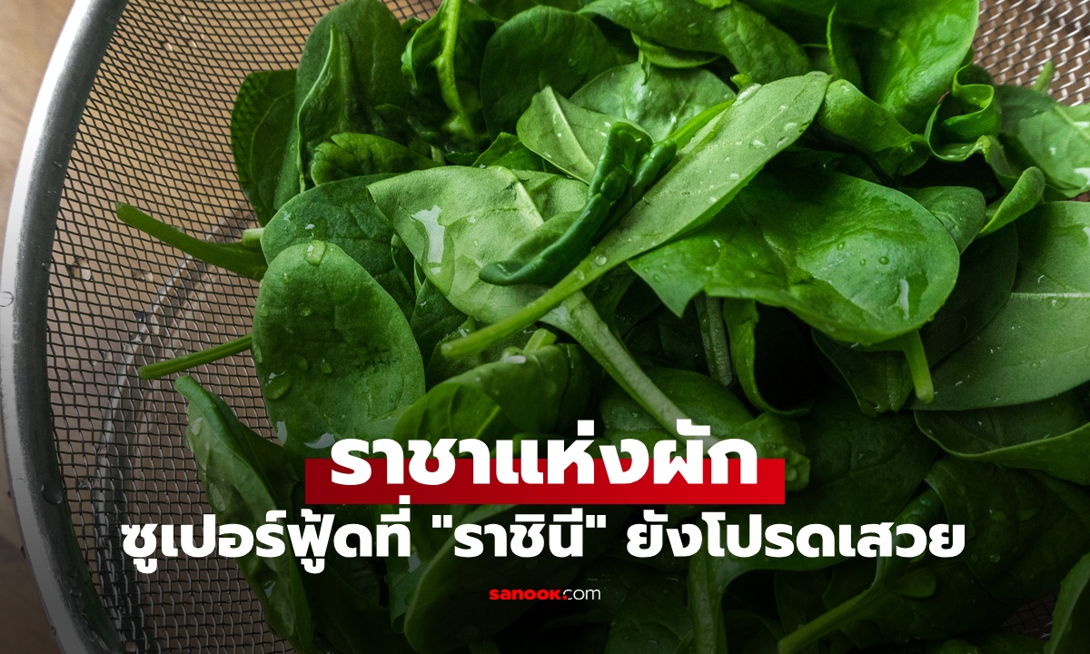 รู้จัก "ราชาแห่งผัก" ซูเปอร์ฟู้ดที่คนไทยเข้าใจผิด ผักที่ดีที่สุดในโลก "ราชินี" ยังโปรดเสวย