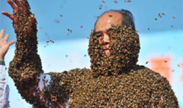 ว้าว! มนุษย์ผึ้ง ตัวจริงเสียงจริง