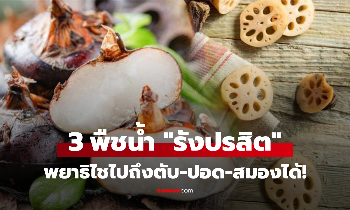 เตือนแล้วนะ! 3 พืชน้ำ เปรียบดัง “รังปรสิต” เสี่ยงโรคหนักถึงสมอง แต่ยังมีคนเชื่อว่ากินดิบดี