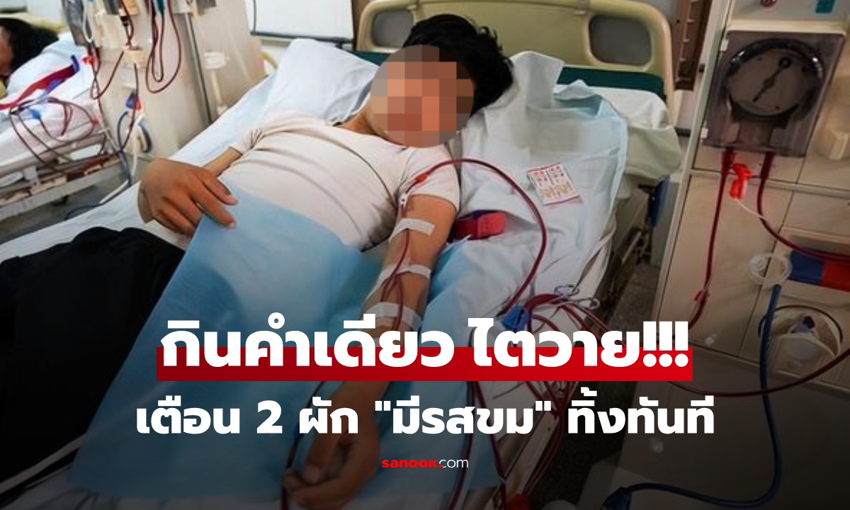 กินแค่คำเดียว หนุ่มวัย 25 ถึงขั้นไตวาย หมอเตือน 2 ผักที่ "มีรสขม" ต้องทิ้งทันที!!!