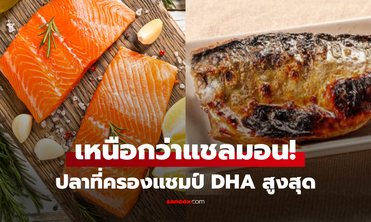 แซลมอนยังอยู่อันดับที่ 6 นักโภชนาการเผย "ปลา" ครองแชมป์ DHA เหนือว่า อยู่ในท็ิอป 5!!!