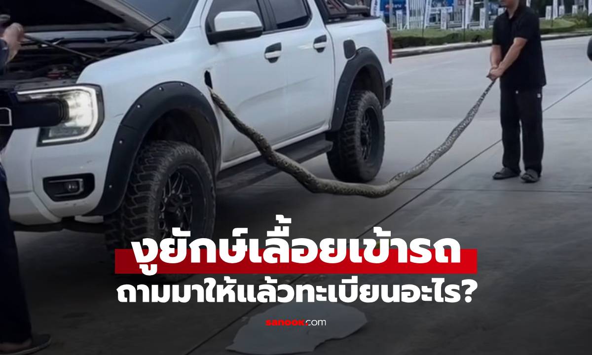 ไม่ต้องส่อง "งูยักษ์" เลื้อยซุกใต้ฝากระโปรงรถ คนโพสต์มาบอกแล้ว ทะเบียนอะไร?