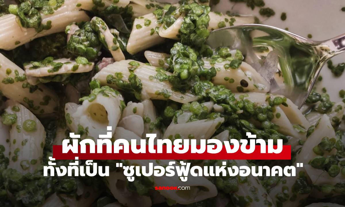 ซูเปอร์ฟู้ดแห่งอนาคต! ผัก 1 ชนิดที่คนไทยมองข้าม โปรตีนมากกว่าถั่วเหลืองถึง 6 เท่า