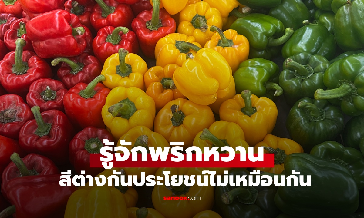 รู้จัก "พริกหวาน" สีแดง-เหลือง-เขียว ประโยชน์ต่างกัน เปิดสรรพคุณลับที่คุณอาจไม่เคยรู้