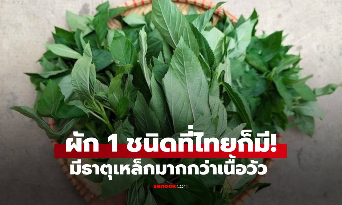 ที่ไทยมี! ผักพื้นบ้าน 1 ชนิด มีธาตุเหล็กมากกว่าเนื้อวัว จีนขนานนาม "ยาของคนจน"