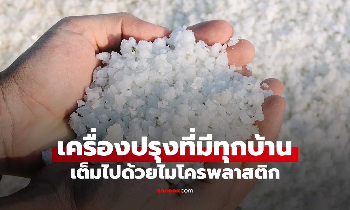 ภัยเงียบ "เครื่องปรุง" ที่มีทุกบ้าน นอกจากไม่ดีต่อไต ยังเต็มไปด้วย "ไมโครพลาสติก"