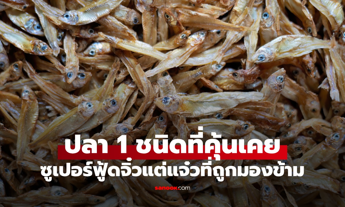 ปลา 1 ชนิด ซูเปอร์ฟู้ดจากทะเล ตัวเล็กประโยชน์ใหญ่ คนไทยคุ้นเคยแต่มักมองข้าม