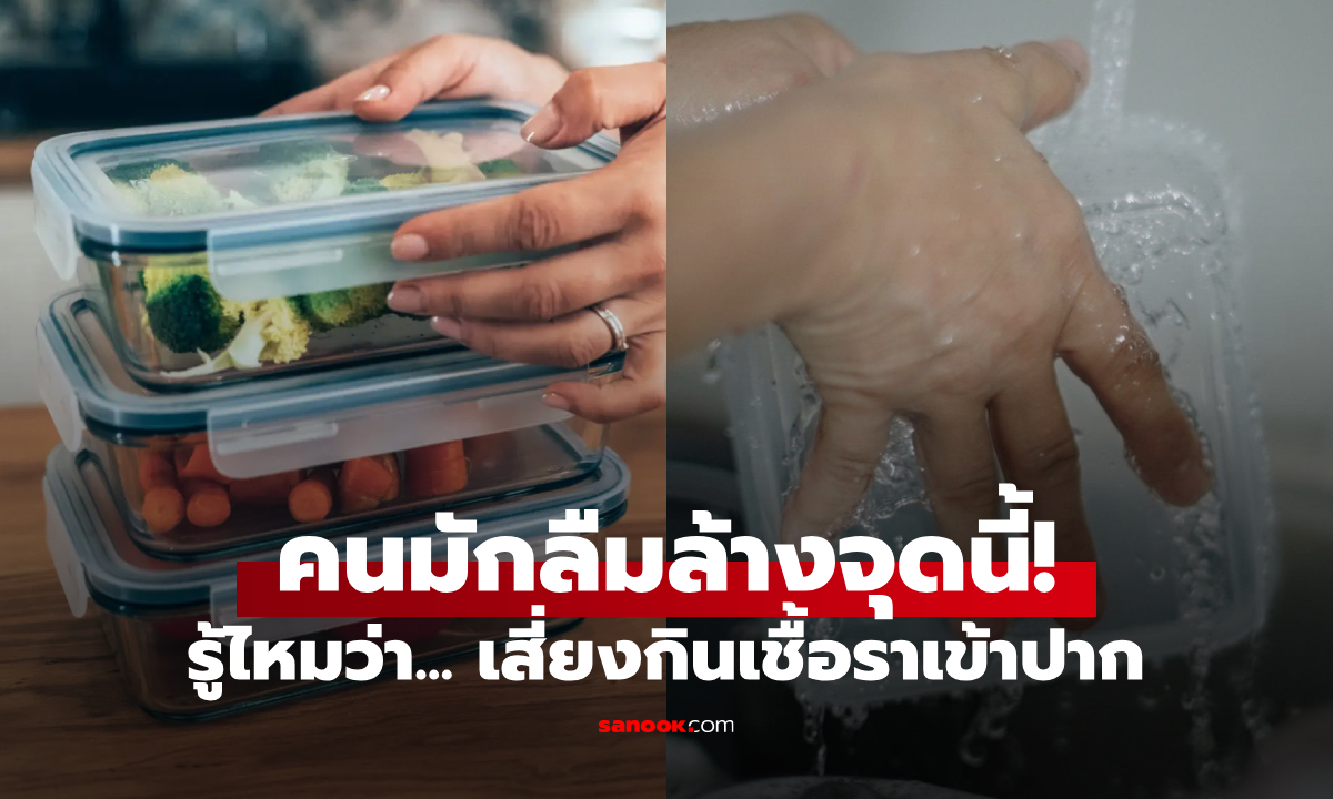 จุดเล็กๆ ด้านใน "กล่องใส่อาหาร" ที่คนมักลืมล้าง เสี่ยงกินเชื้อราเข้าปาก สะสมสารอันตราย!