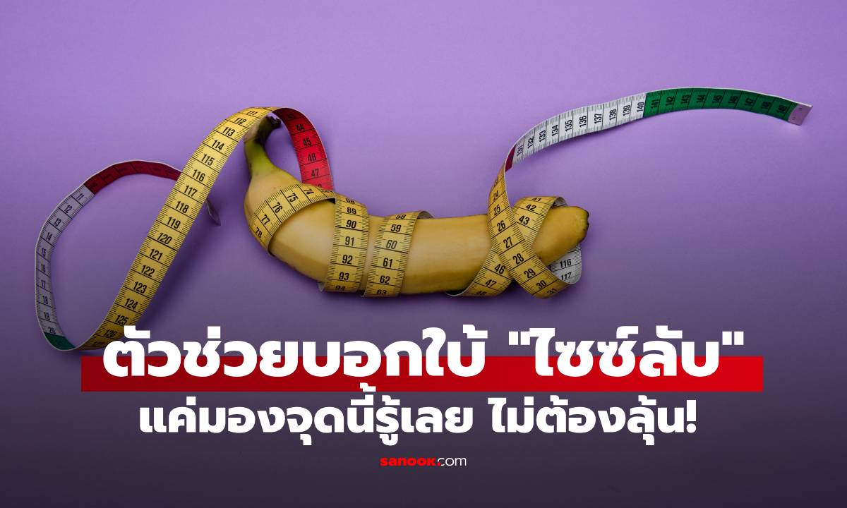 หมอเปิดผลวิจัย อวัยวะบางอย่าง อาจบอกใบ้ถึงขนาด "อวัยวะเพศชาย" ไม่ใช่มือ-เท้า