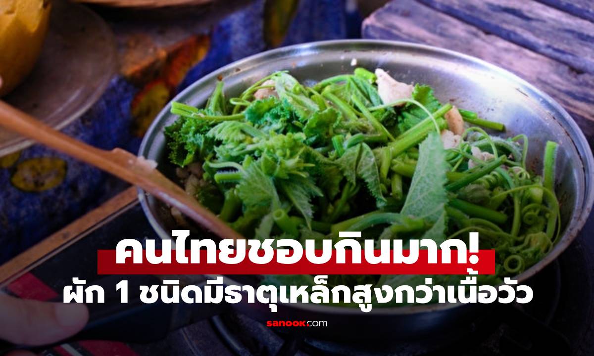 ผัก 1 ชนิดมีธาตุเหล็กสูงกว่าเนื้อวัว จีนขนานนาม "ยาบำรุงตับ" คนไทยชอบกินมาก!
