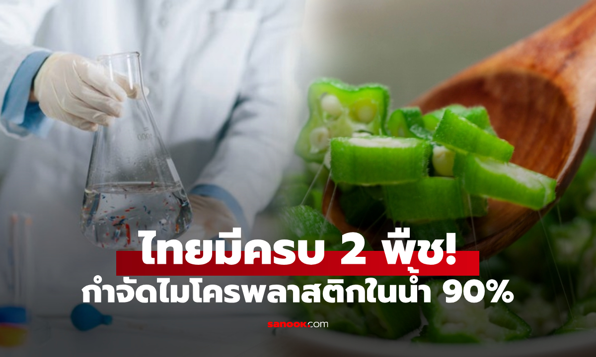 เซอร์ไพรส์กับ 2 พืชที่ช่วย "กรอง" ไมโครพลาสติกในน้ำ ได้มากถึง 90% ไทยมีครบทั้งคู่!