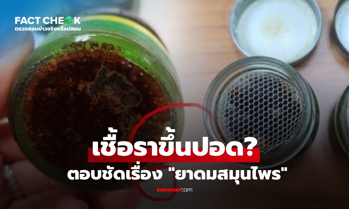 เช็กข่าวชัวร์ : "ยาดมสมุนไพร" เสี่ยงปนเปื้อนเชื้อรา จริงหรือ? แนะใช้อย่างไรให้ปลอดภัย