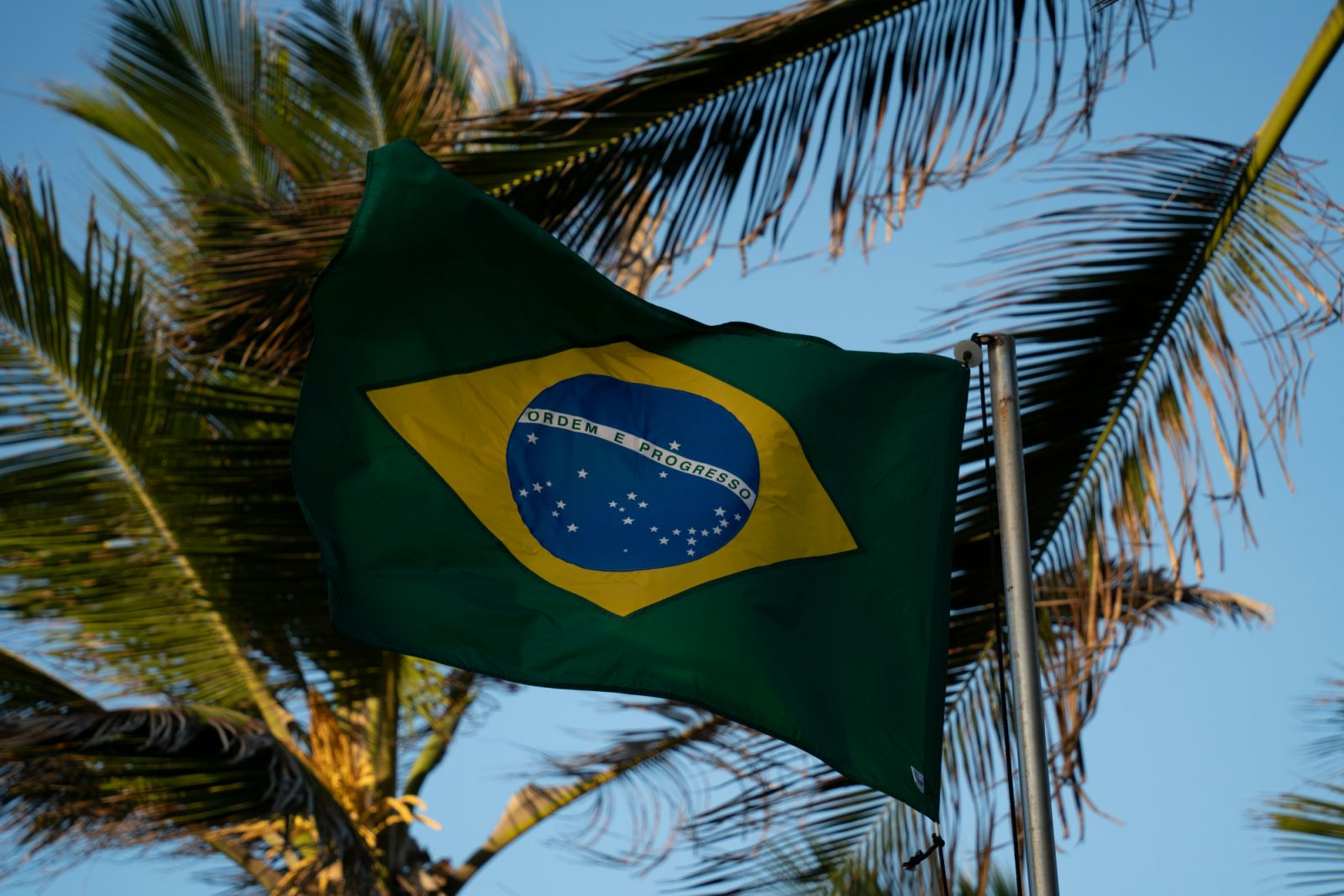02145805-fernando-dantas-irxr