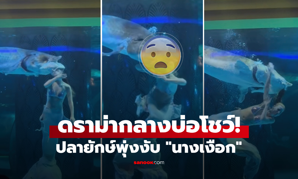 คลิป ปลายักษ์จู่โจม "เงือกสาว" อ้าปากงับหน้าเต็มๆ ผู้ชมช็อกลืมหายใจ มันพุ่งมาเร็วมาก!!!