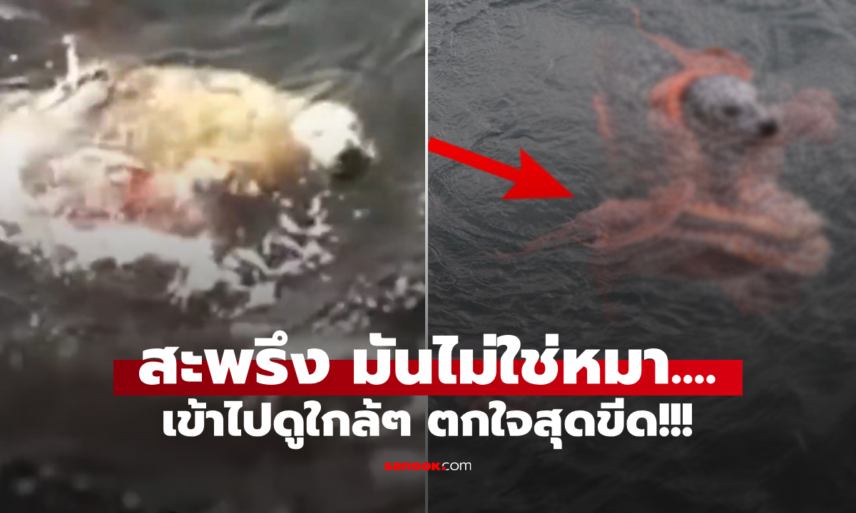 คลิปช็อกออนไลน์! หนุ่มรีบเข้าช่วย 