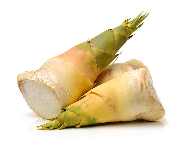 fresh-bamboo-shoot-1554373939