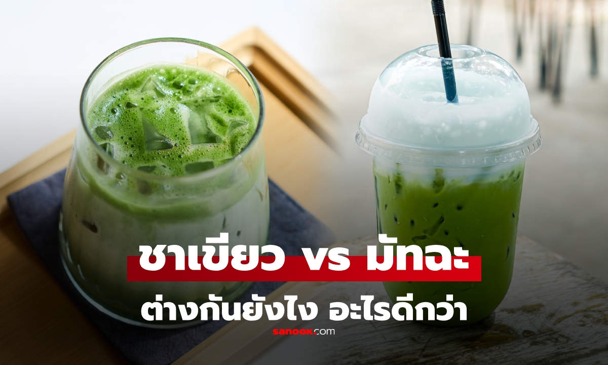 "ชาเขียว" vs "มัทฉะ" ต่างกันอย่างไร? แล้วอะไรมีประโยชน์ต่อร่างกายมากกว่ากัน
