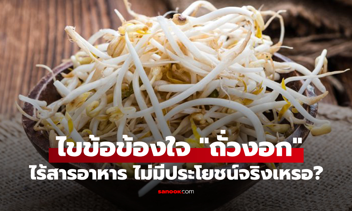 จริงหรือไม่ "ถั่วงอก" ไร้สารอาหาร ไม่มีประโยชน์อะไรต่อร่างกายเลย?