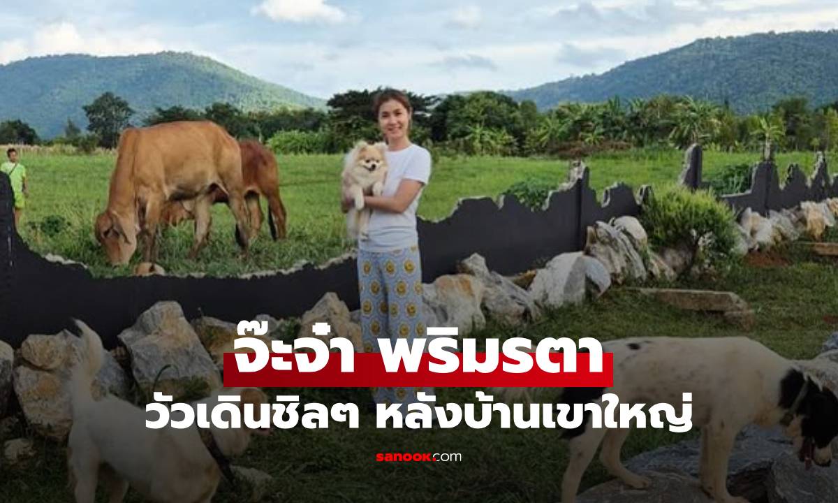 "จ๊ะจ๋า" เปิดมุมหลังบ้านที่เขาใหญ่ ธรรมชาติมาก มีวัวเดินเล่นชิลๆ หลังบ้าน!
