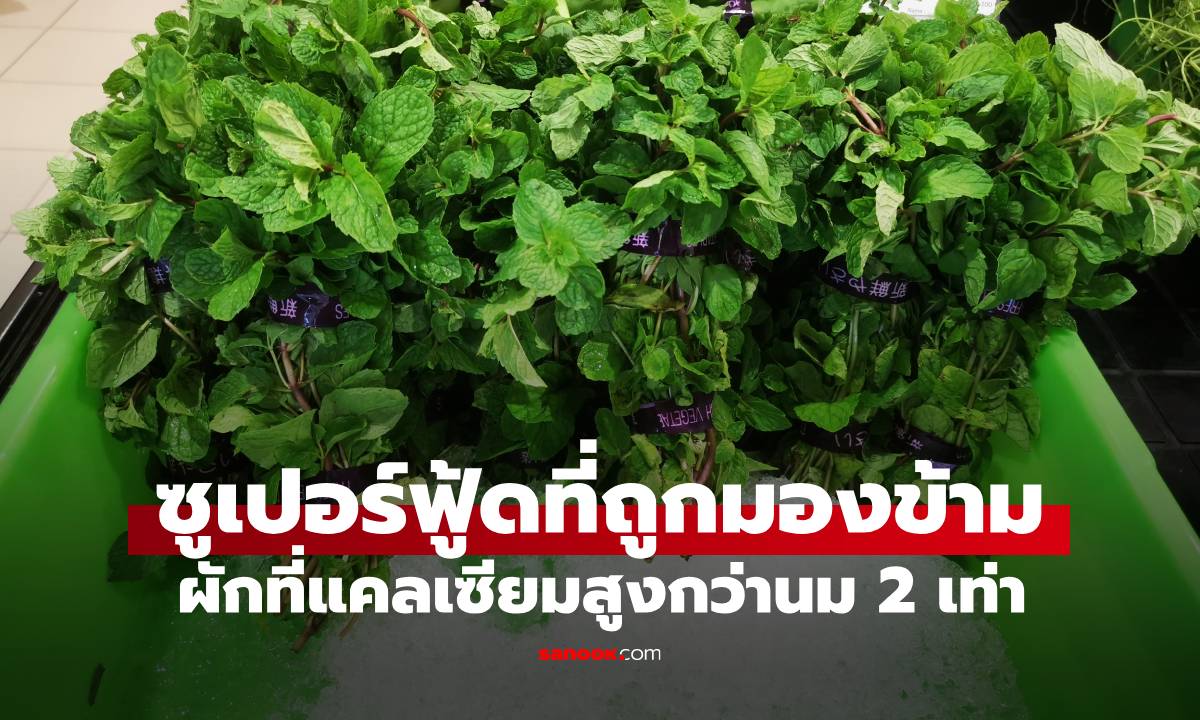 ผัก 1 ชนิด แคลเซียมสูงกว่านม 2 เท่า "ซูเปอร์ฟู้ด" ที่ถูกมองข้าม ทั้งที่หาง่าย ราคาถูก