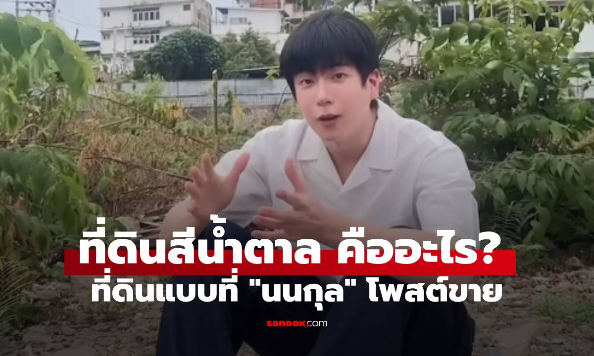 ที่ดินสีน้ำตาล คืออะไร? ที่ดินแบบที่ "นนกุล" โพสต์ขายราคาเฉียดร้อยล้าน!