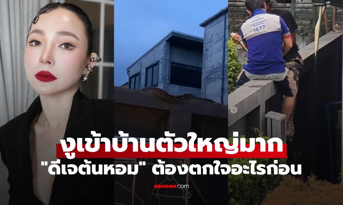"ดีเจต้นหอม" ต้องตกใจอะไรก่อน งูเข้าบ้านตัวใหญ่มาก พร้อมบอกบ้านเลขที่ชัดๆ