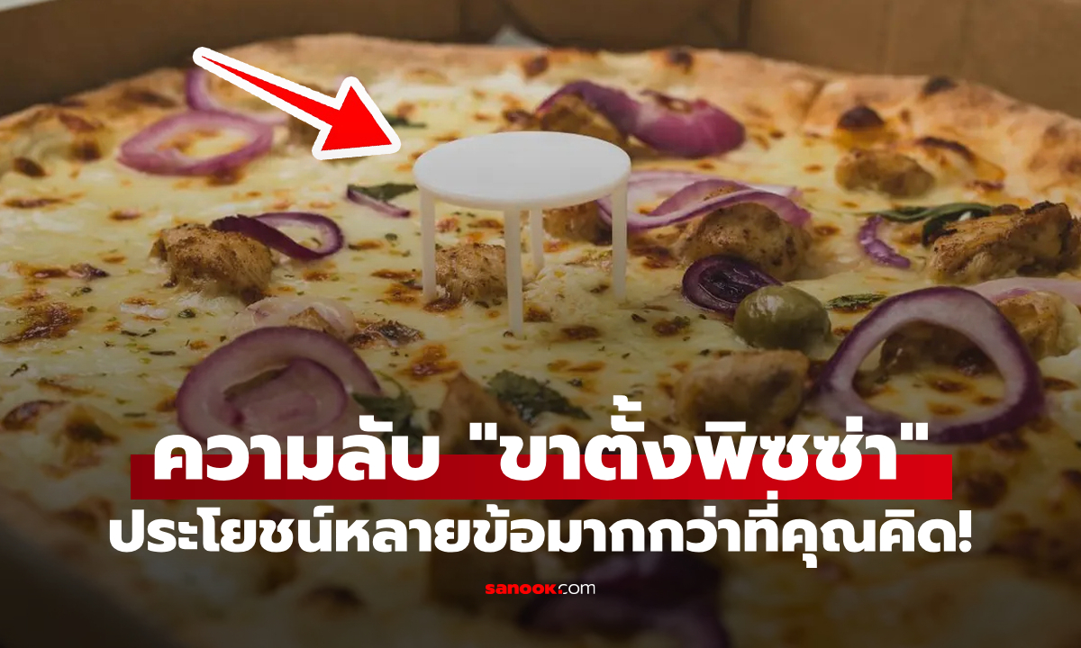 "ขาตั้งพิซซ่า" มีไว้เพื่ออะไร? ประโยชน์สุดปังที่หลายคนไม่รู้มาก่อน