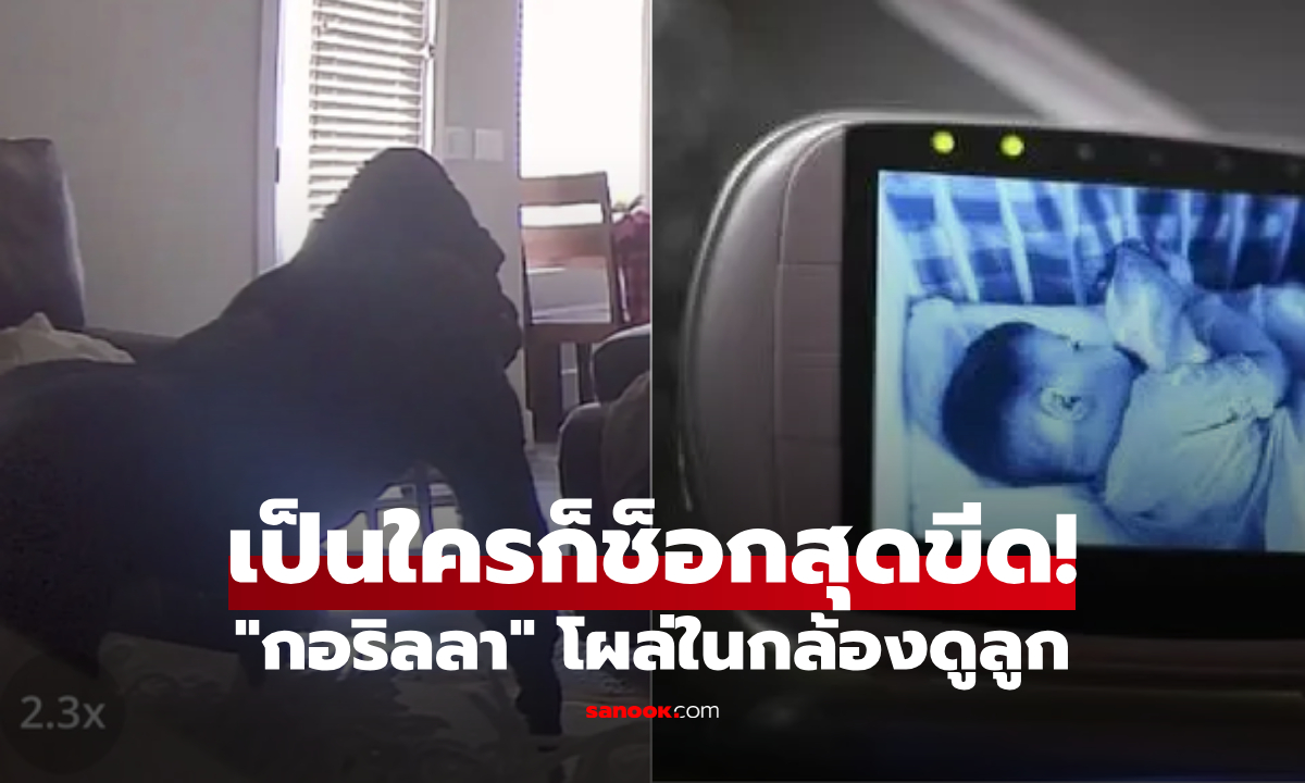 แม่ช็อกสุดขีด! เปิดกล้องลูกเห็น "กอริลล่า" นั่งอยู่ วิ่งไม่คิดชีวิตไปช่วย แต่เจอตัวจริงโอละพ่อ