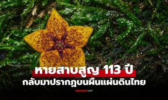 สุดฮือฮา! "พืชหายาก" ที่หายจากโลกนาน 113 ปี แต่กลับถูกพบที่ประเทศไทย