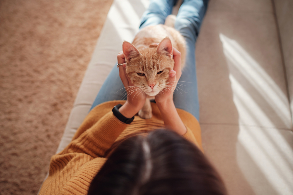 cat-and-owner